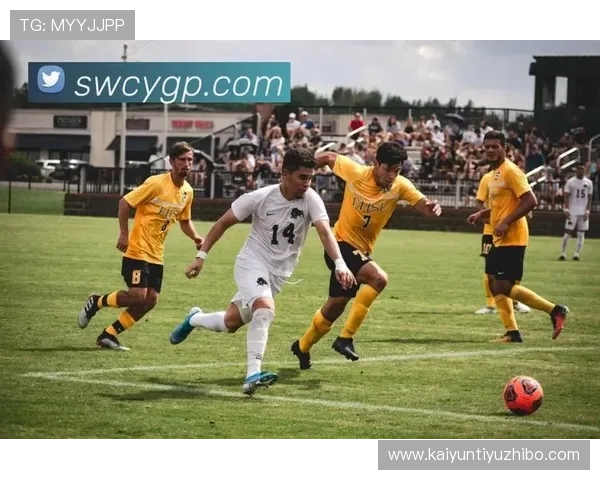 开云体育网如何打造专业的体育直播体验满足不同用户的观看需求